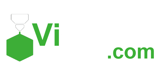 Viduu3D Logo